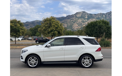 mercedes-benz-gle-250 - 1