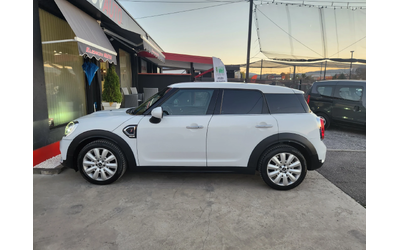 mini-countryman - 3