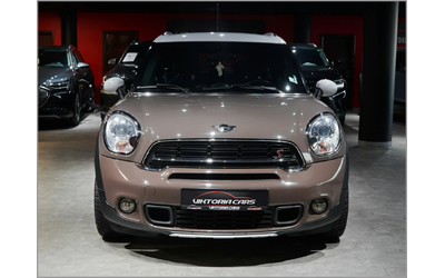 mini-countryman - 1