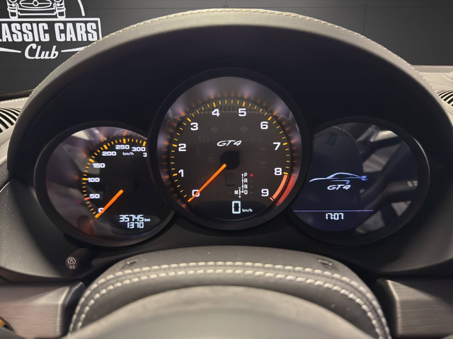 Porsche Cayman 718 GT4 718 GT4 - автомобили, коли, обяви за нови и употребявани 16