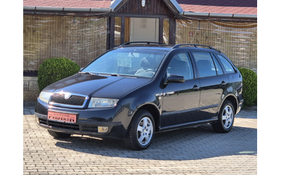 skoda-fabia - 0