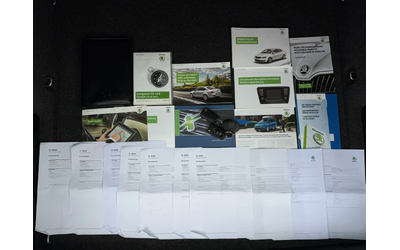 Skoda Octavia 2.0TDi / DSG / 4x4 - автомобили, коли, обяви за нови и употребявани 16