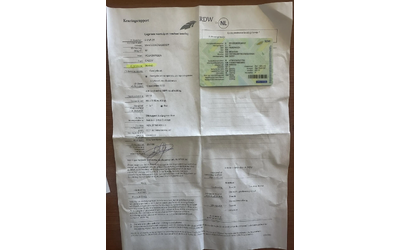 VW Caddy - автомобили, коли, обяви за нови и употребявани 16